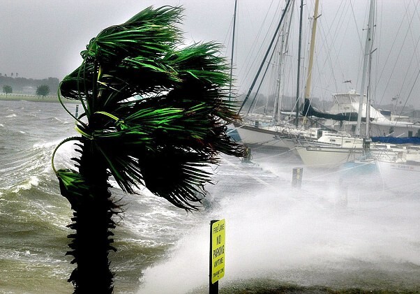 В Тихом океане сформировался ураган, который может стать одним из сильнейших за год
