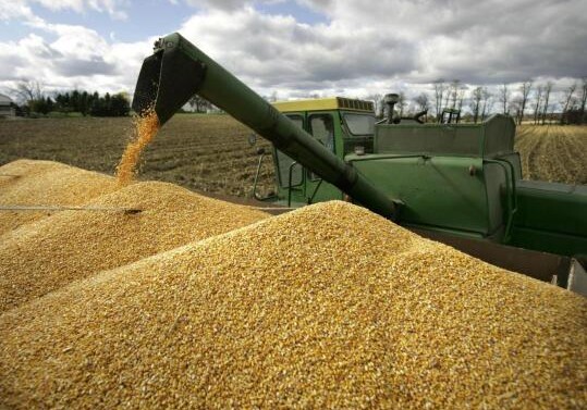Азербайджан закупает у Казахстана 600 тыс. тонн зерна в год