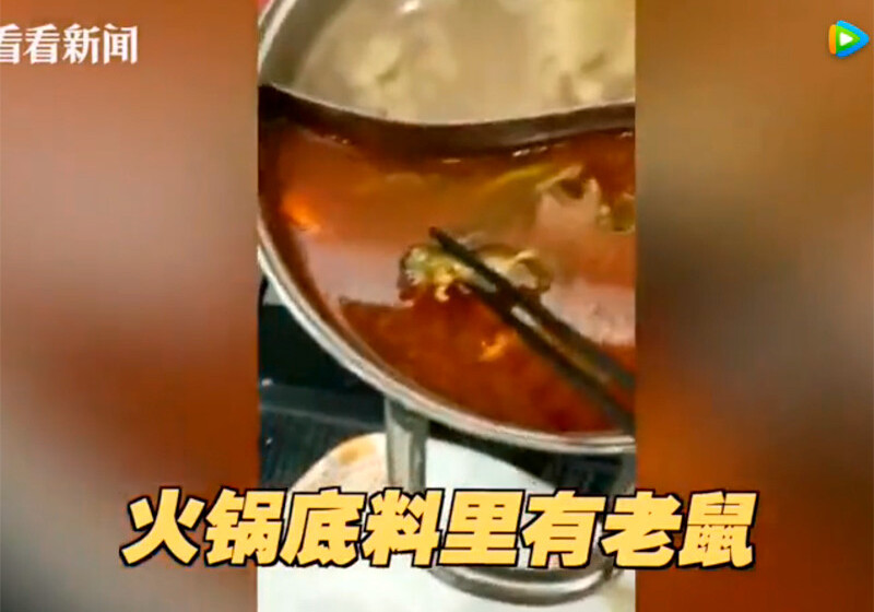 Мертвый крысёныш в супе обрушил акции сети китайских ресторанов Xiabu Xiabu на в $190 млн