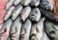 АПБА сделало предупреждение незаконно продающим рыбу и рыбные продукты 