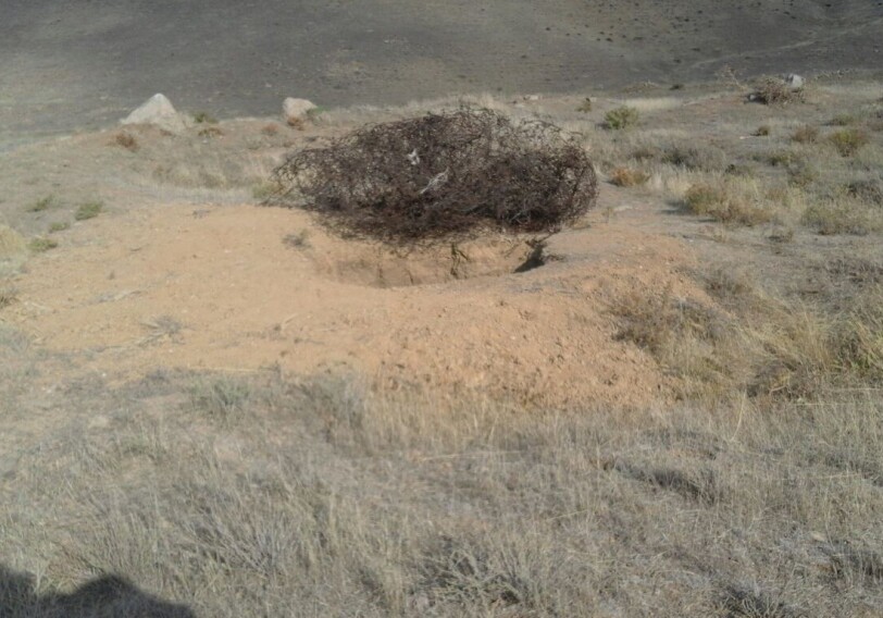 В Ярдымлы проводились незаконные раскопки на территории археологического памятника (Фото)
