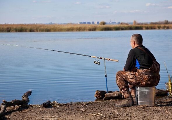 Названы размеры госпошлин на ловлю рыбы - в Азербайджане