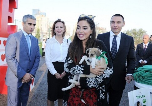 Лейла Алиева приняла участие в мероприятии, посвященном Всемирному дню защиты животных (Фото)