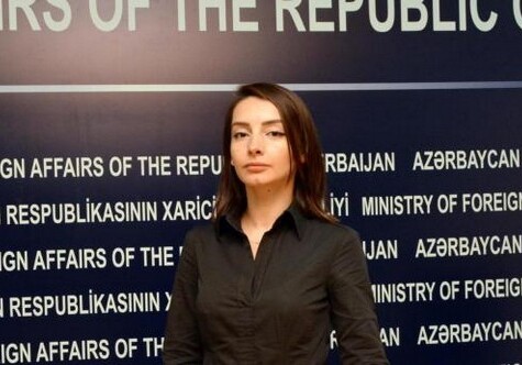 МИД Азербайджана о намечающемся визите российских женщин в Карабах