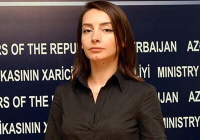 Кто она – новая глава пресс-службы МИД Азербайджана? - Досье 