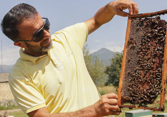 Азербайджанский мед продается за рубежом за 150 долларов