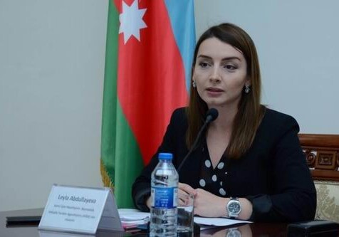 Глава пресс-службы МИД Азербайджана: «Ереван прикрывается незнанием россиян сути карабахского конфликта»