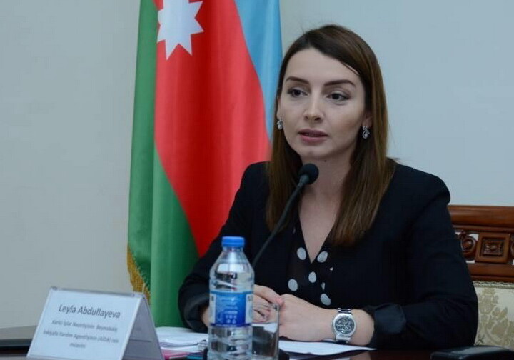 Лейла Абдуллаева: «Заявление Пашиняна наносит урон урегулированию карабахского конфликта»