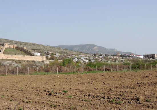 «Необработанных земель вовсе не должно быть» - Армения делает деньги на оккупированных землях Азербайджана