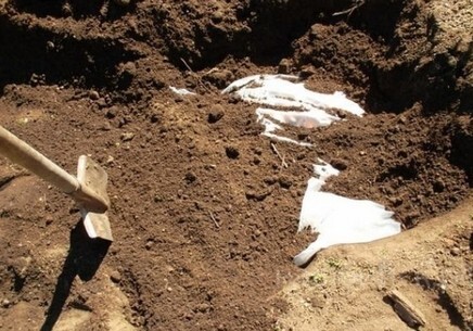 В Сумгайыте женщина убила и закопала новорожденного ребенка