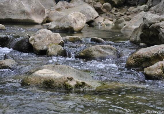 Бассейн реки Гарасу в Гедабейском районе очищен от бытовых отходов