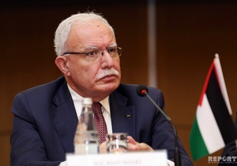 «Азербайджану и Палестине нужно требовать исполнения резолюций ООН»  – Министр