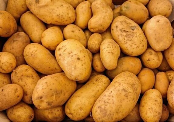 Агентство продбезопасности забраковало 26 тонн ввезенной из Грузии картошки с червями (Фото)