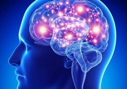 Ученые близко подошли к возможности излечения эпилепсии