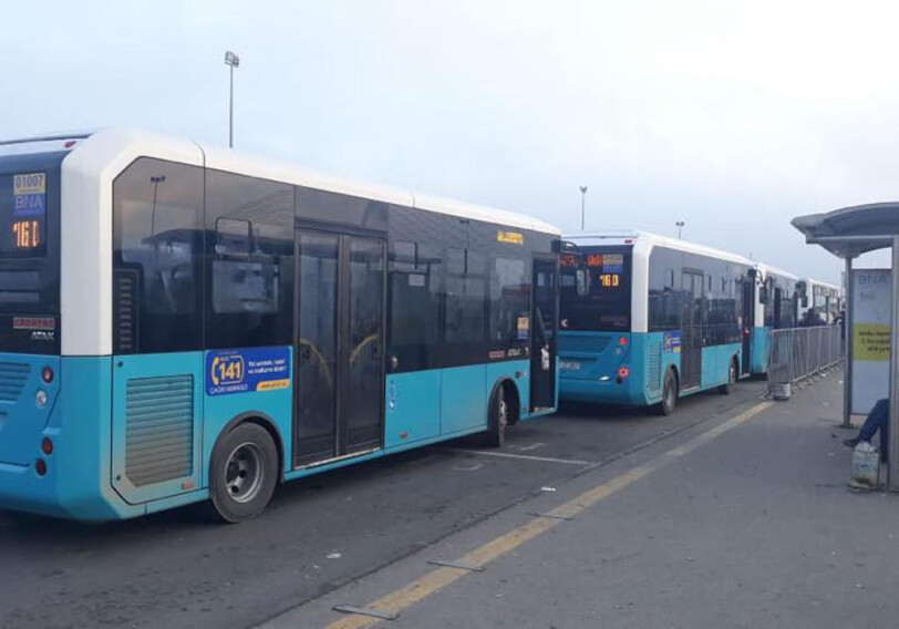 В Баку вышли на линии новые автобусы (Фото)