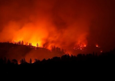 Число погибших из-за лесных пожаров в Калифорнии возросло до 31 (Фото-Видео)