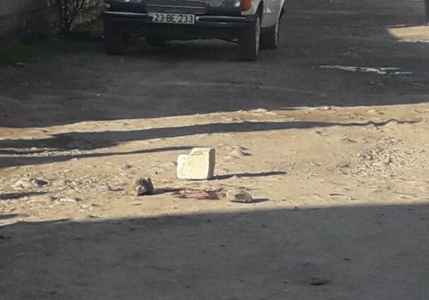 В Бардинском районе сын нанес матери ножевые ранения (Фото)