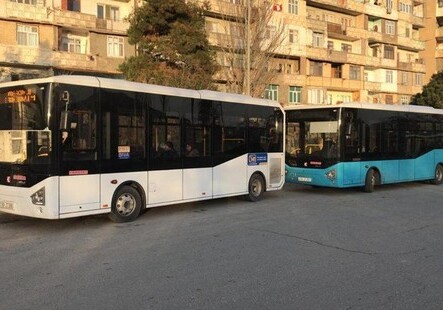 В Баку по маршруту №81 пущены новые автобусы (Фото)