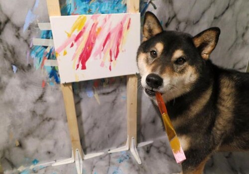 Пара из Канады научила своего пса рисовать, и теперь его картины раскупаются на Etsy (Фото-Видео)