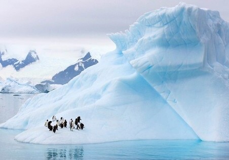 Площадь ледового покрова в Антарктике рекордно уменьшилась
