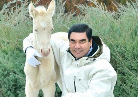 Туркменбаши посвятил стихи первому жеребенку, родившемуся в 2019 году