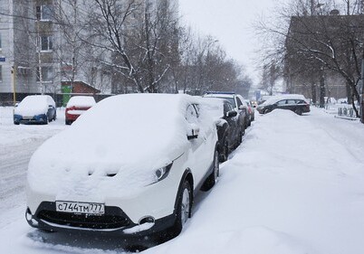 От аномального снегопада в Европе погибли более 20 человек (Видео)