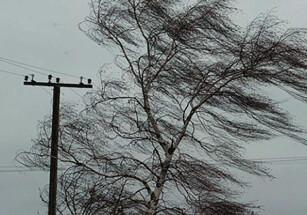 На Абшеронском полуострове ветер усилился до 35 м/с