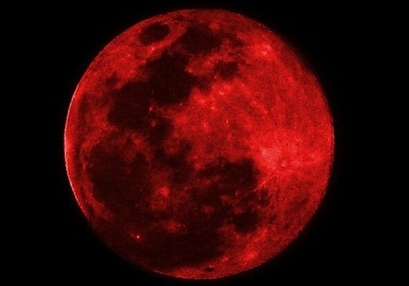 Кровавая волчья Луна взойдет в ночь на понедельник (Видео)