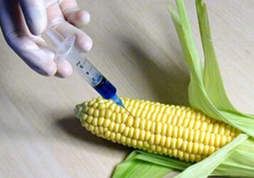 ГМО-продукты попадают на рынок Азербайджана в основном из Турции и Ирана