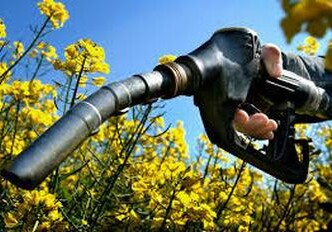 В Азербайджане начнется производство биодизеля