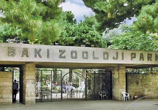 Бакинский зоопарк временно закрывается в связи с работами по реконструкции