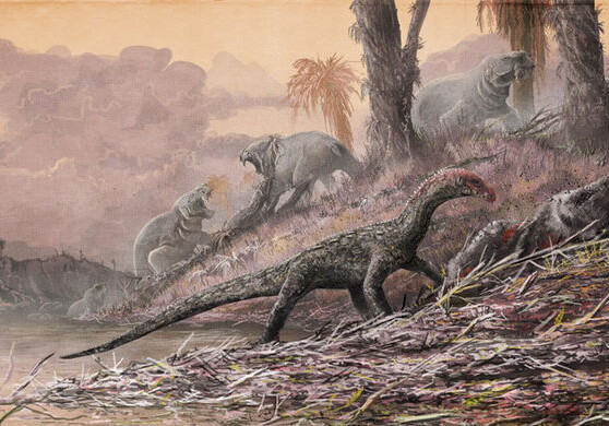 В Австралии обнаружили гигантскую тропу динозавров