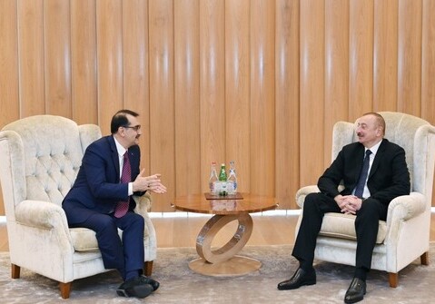 Президент Азербайджана встретился с министром энергетики и природных ресурсов Турции (Фото)