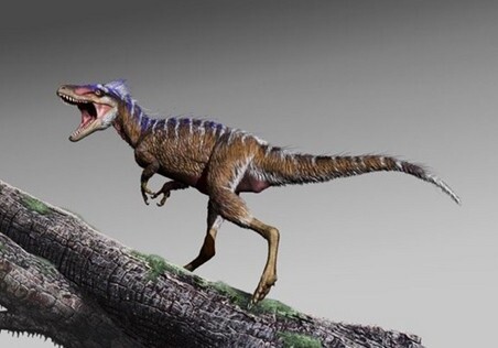 Ученые нашли останки динозавра размером с собаку