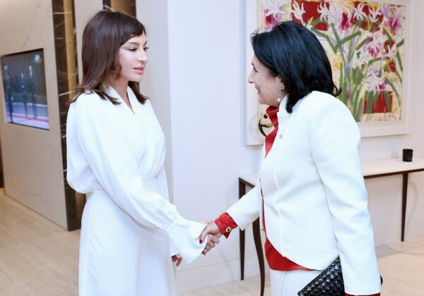 Первый вице-президент Азербайджана Мехрибан Алиева встретилась с президентом Грузии (Фото)