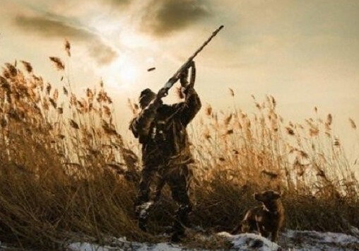 В Азербайджане завершается охотничий сезон
