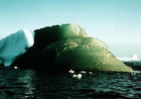 Ученые раскрыли тайну зеленых айсбергов
