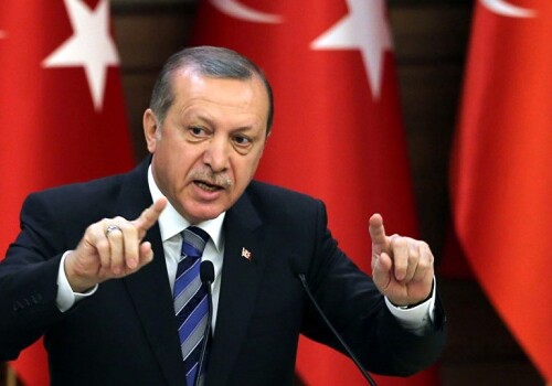 Эрдоган: «Исполнитель теракта в Новой Зеландии два раза посещал Турцию»