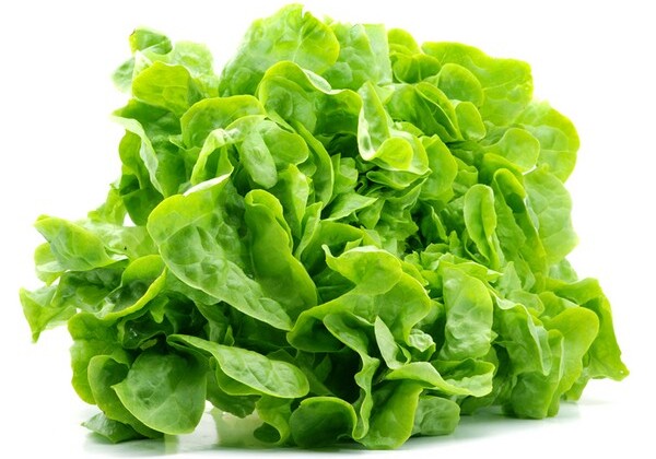 Ученые: зелень и листовые салаты сохраняют молодость мышц