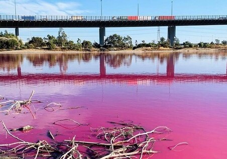 В Австралии появилось озеро с розовой водой (Видео)