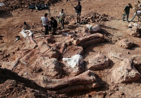 Гигантское кладбище динозавров обнаружили в США
