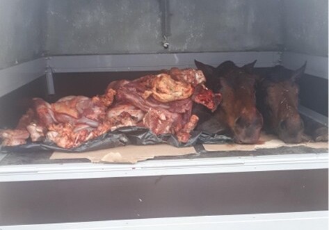В Азербайджане обнаружено 146 кг мяса неизвестного происхождения (Фото)