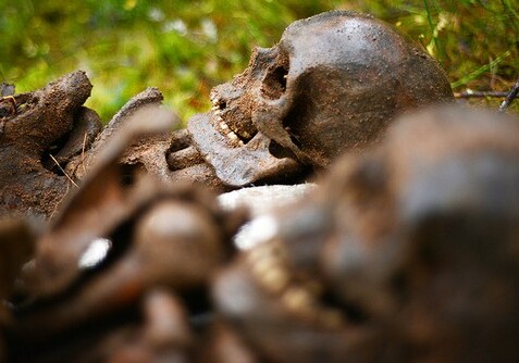 На Филиппинах найдены останки древних людей неизвестного вида