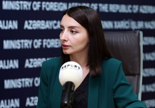 Лейла Абдуллаева: «Азербайджан выступил с инициативой об обмене пленных и заложников по принципу «всех на всех»