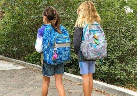 Азербайджанский депутат предложил облегчить рюкзаки школьников