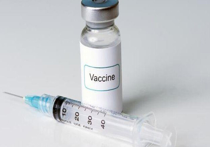 В чем причина отсутствия вакцин от бешенства в Уджаре?