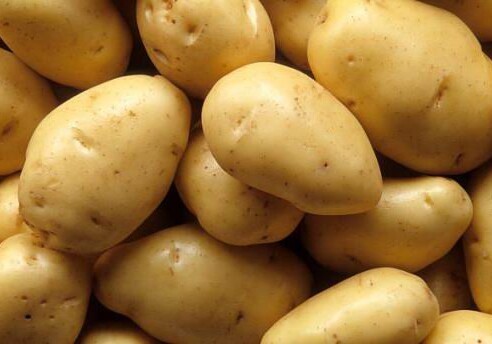 Дагестанский Россельхознадзор не пустил в Россию около 40 тонн картошки из Азербайджана