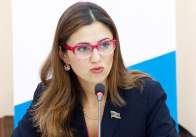 «Своими противоречивыми и абсурдными заявлениями Пашинян доказывает, что он далек от реальной политики» – Депутат