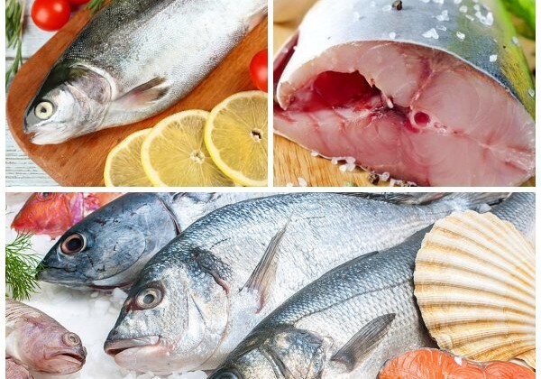 Медики рассказали, какая рыба безопасна для приёма в пищу
