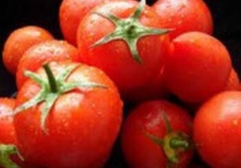 В Россию не пустили две партии томатов из Азербайджана